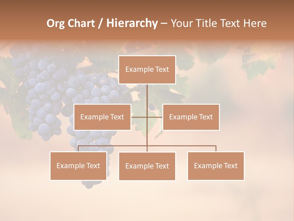 A Bunch Of Grapes Hanging From A Vine PowerPoint Template