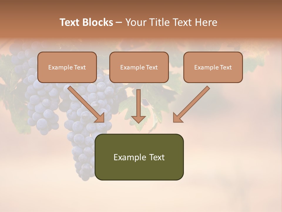 A Bunch Of Grapes Hanging From A Vine PowerPoint Template