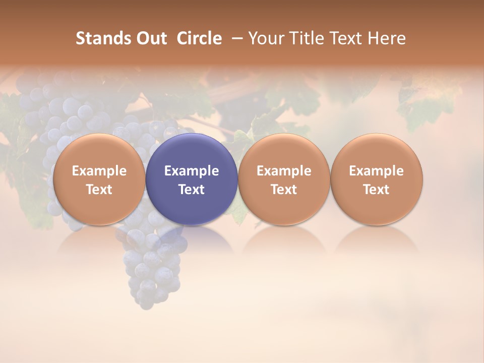 A Bunch Of Grapes Hanging From A Vine PowerPoint Template
