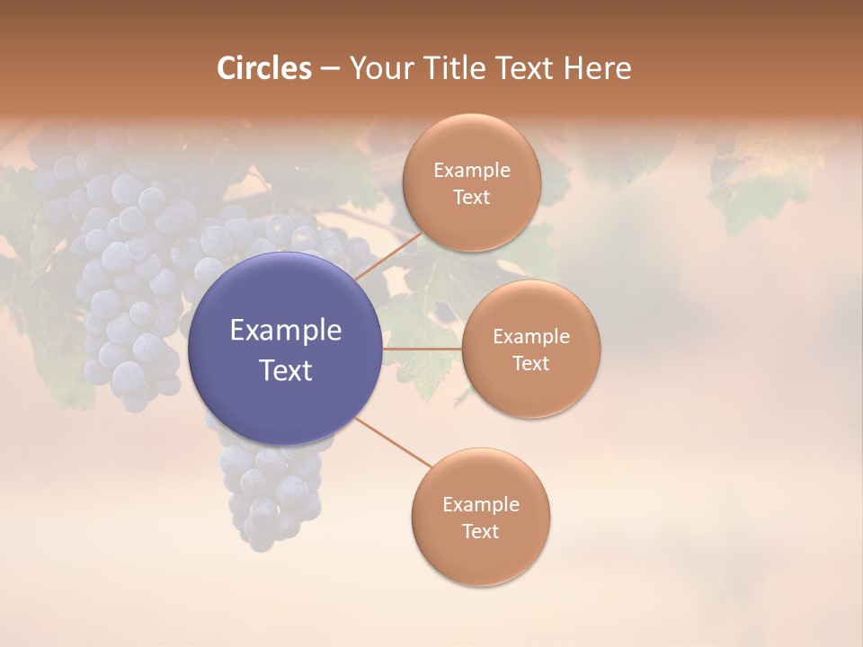 A Bunch Of Grapes Hanging From A Vine PowerPoint Template