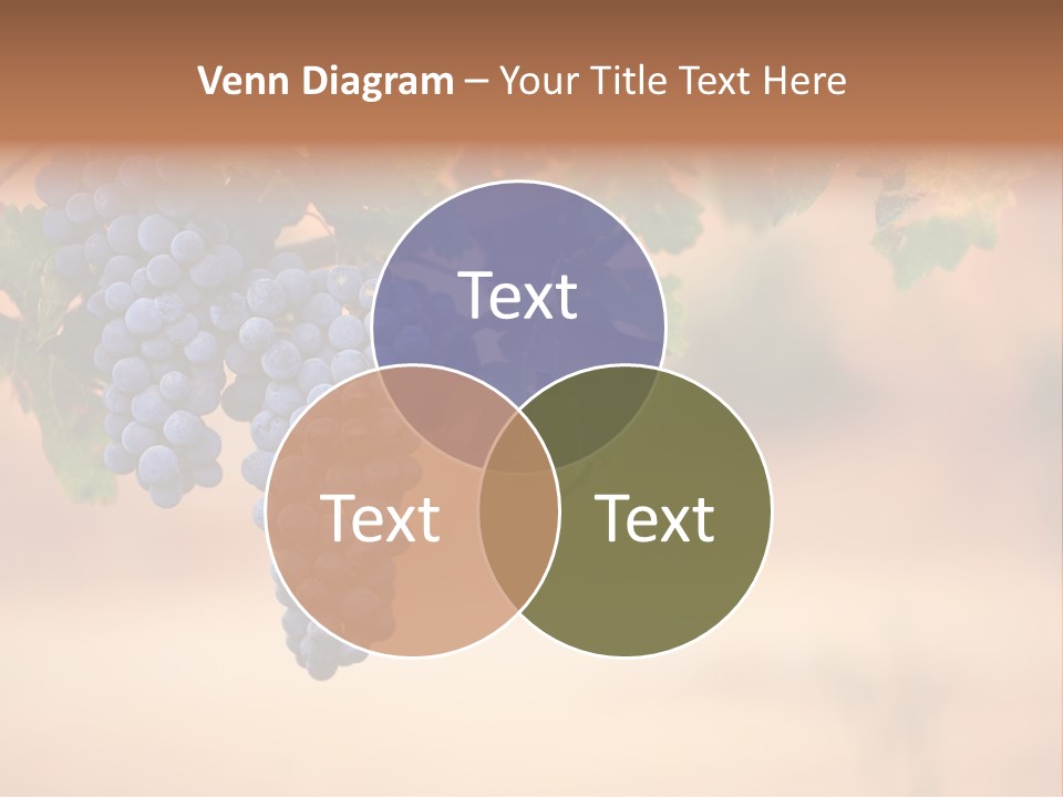 A Bunch Of Grapes Hanging From A Vine PowerPoint Template