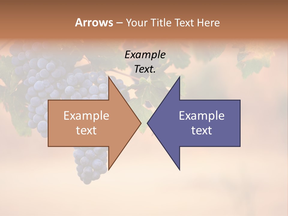 A Bunch Of Grapes Hanging From A Vine PowerPoint Template