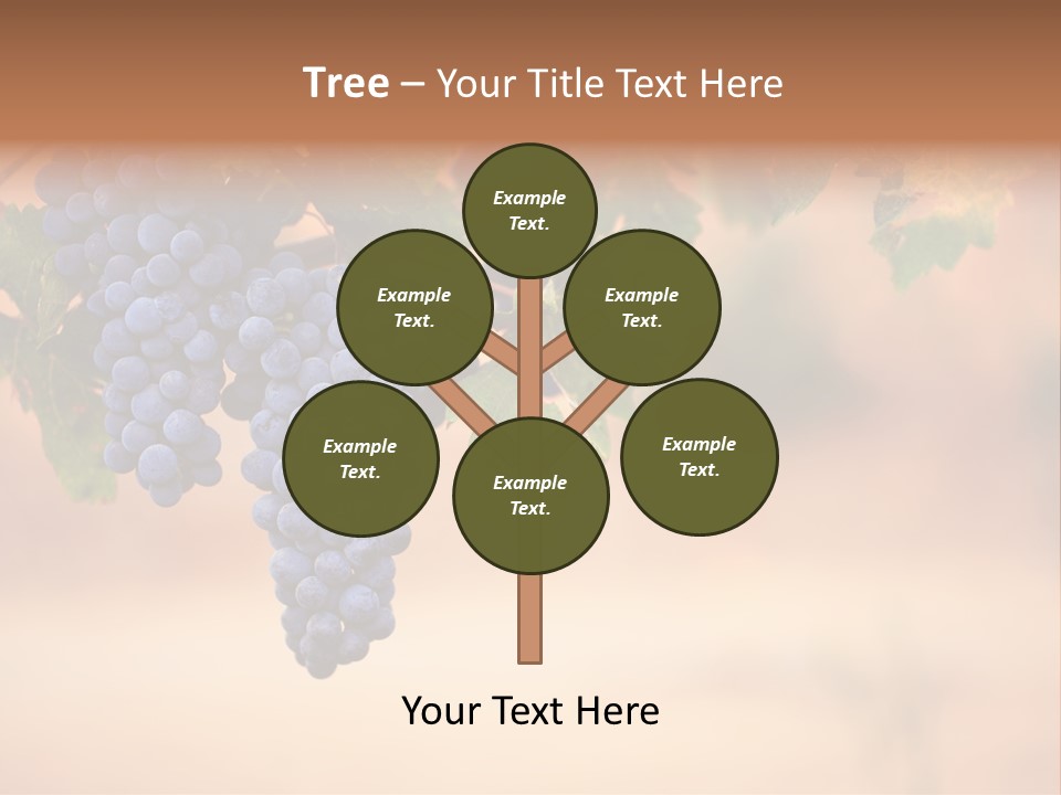 A Bunch Of Grapes Hanging From A Vine PowerPoint Template