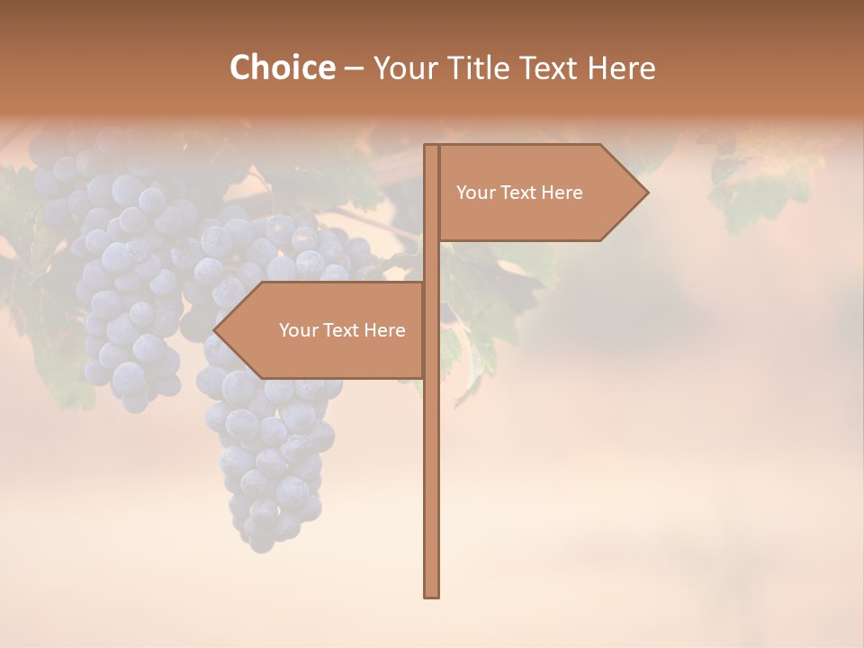 A Bunch Of Grapes Hanging From A Vine PowerPoint Template