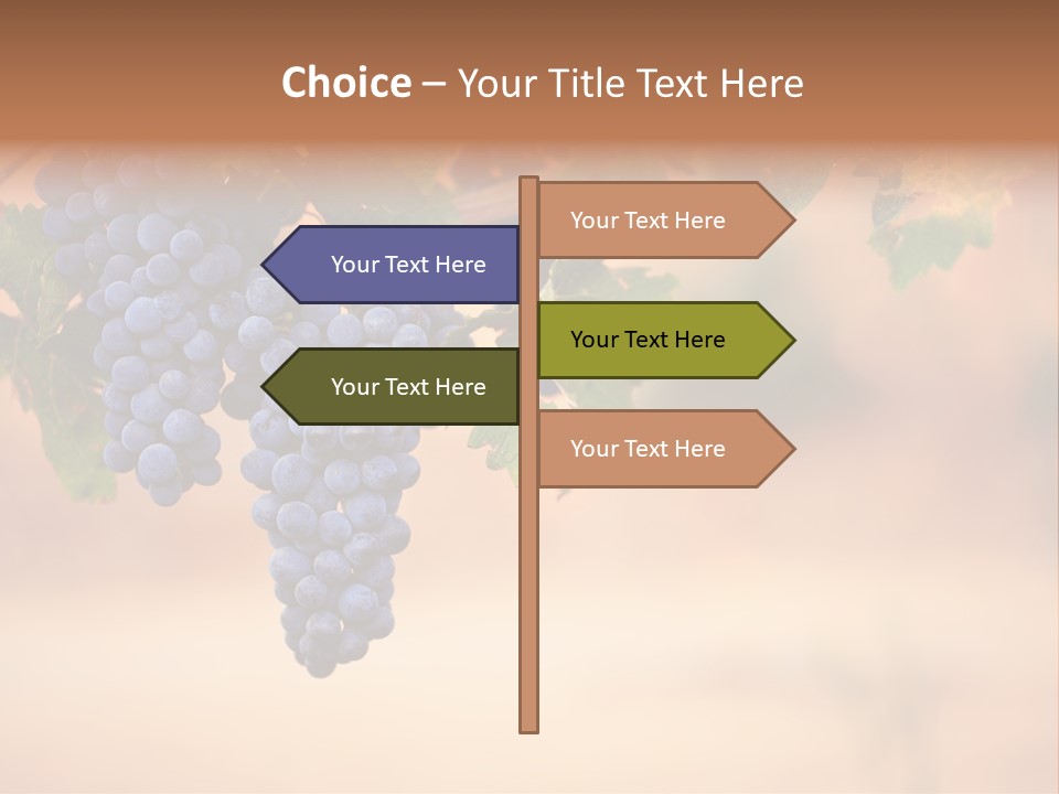 A Bunch Of Grapes Hanging From A Vine PowerPoint Template