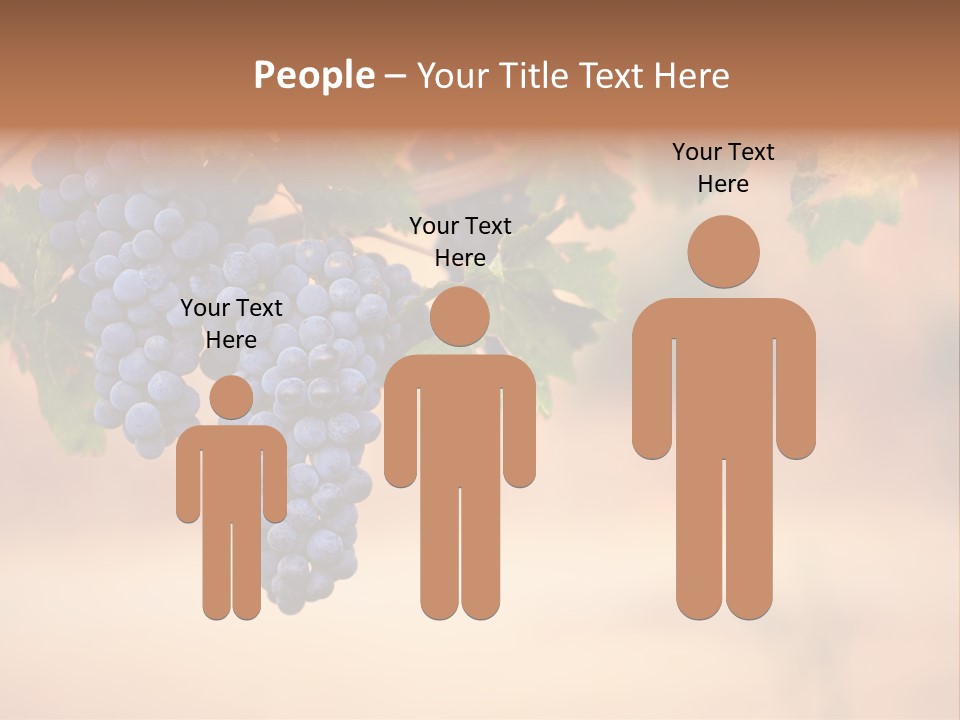 A Bunch Of Grapes Hanging From A Vine PowerPoint Template