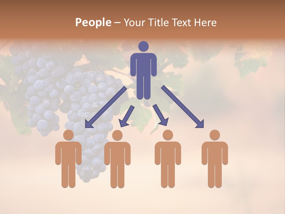 A Bunch Of Grapes Hanging From A Vine PowerPoint Template