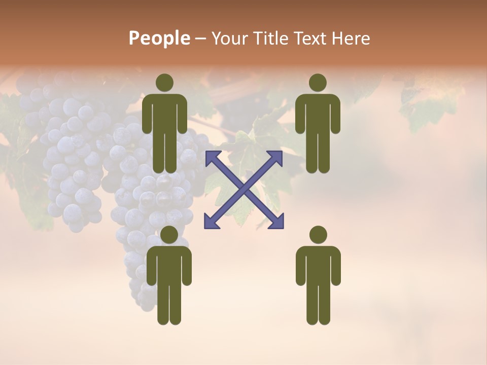 A Bunch Of Grapes Hanging From A Vine PowerPoint Template