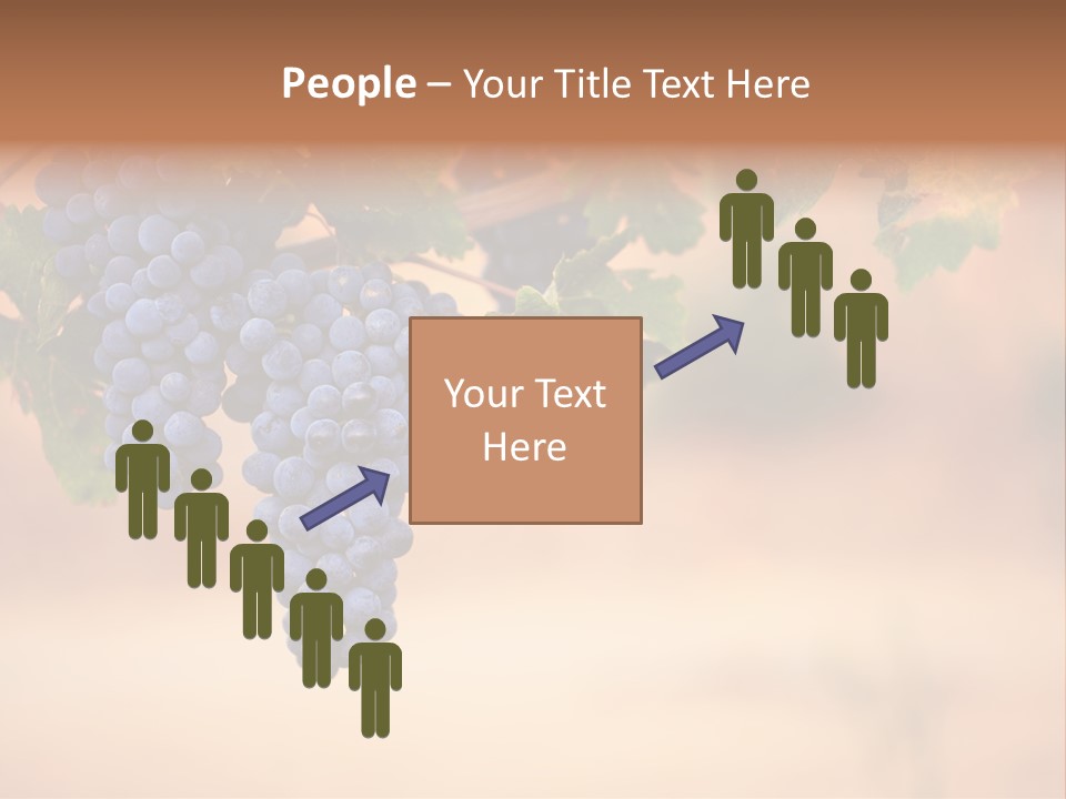 A Bunch Of Grapes Hanging From A Vine PowerPoint Template