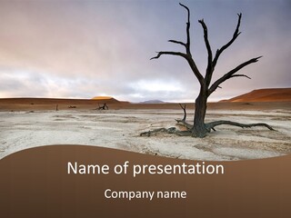 A Dead Tree In The Middle Of A Desert PowerPoint Template