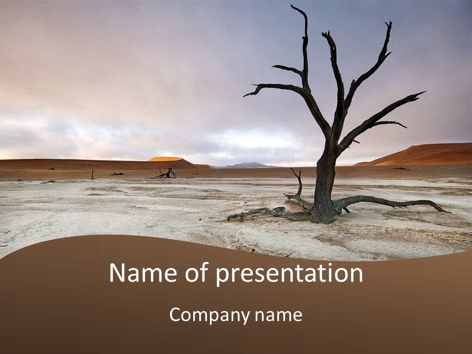 A Dead Tree In The Middle Of A Desert PowerPoint Template