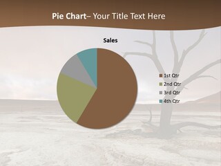 A Dead Tree In The Middle Of A Desert PowerPoint Template