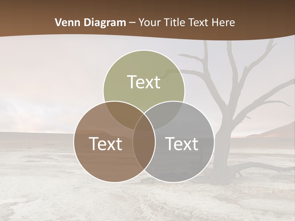 A Dead Tree In The Middle Of A Desert PowerPoint Template