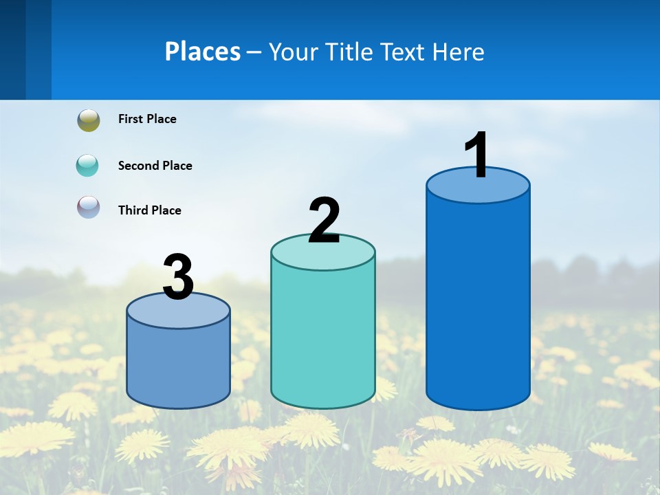 A Field Full Of Yellow Dandelions Under A Blue Sky PowerPoint Template