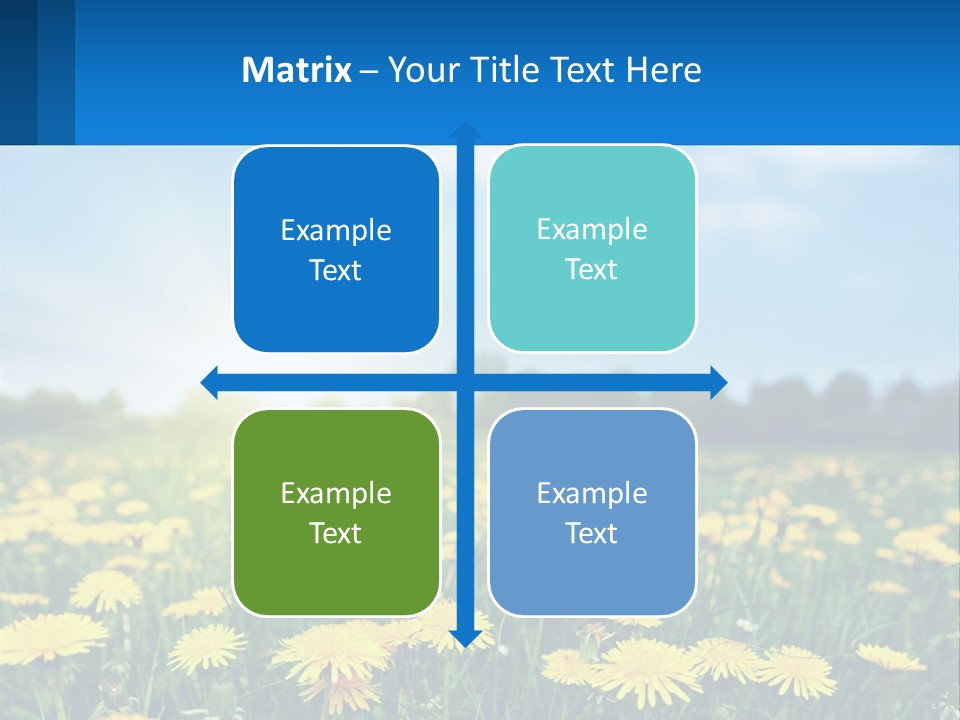 A Field Full Of Yellow Dandelions Under A Blue Sky PowerPoint Template