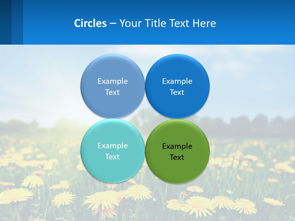 A Field Full Of Yellow Dandelions Under A Blue Sky PowerPoint Template