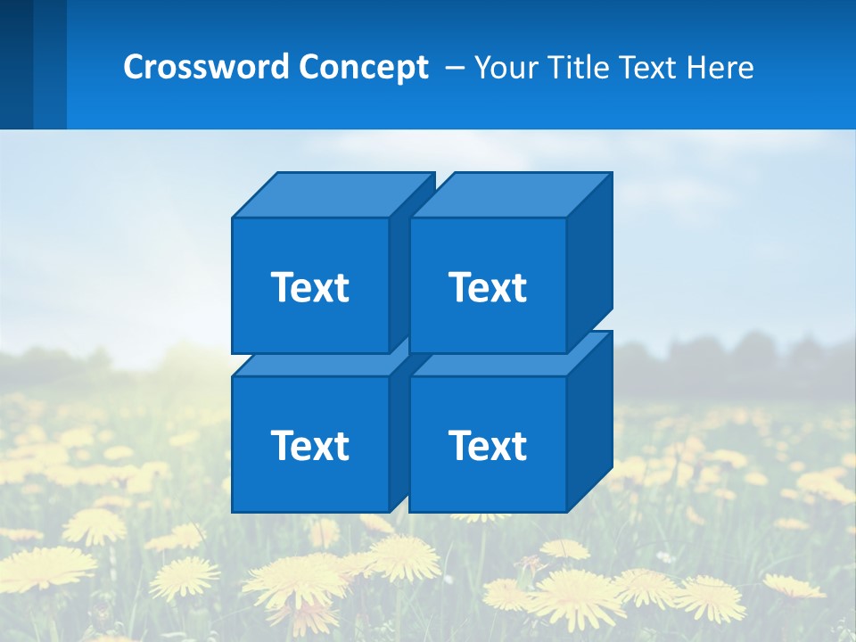 A Field Full Of Yellow Dandelions Under A Blue Sky PowerPoint Template