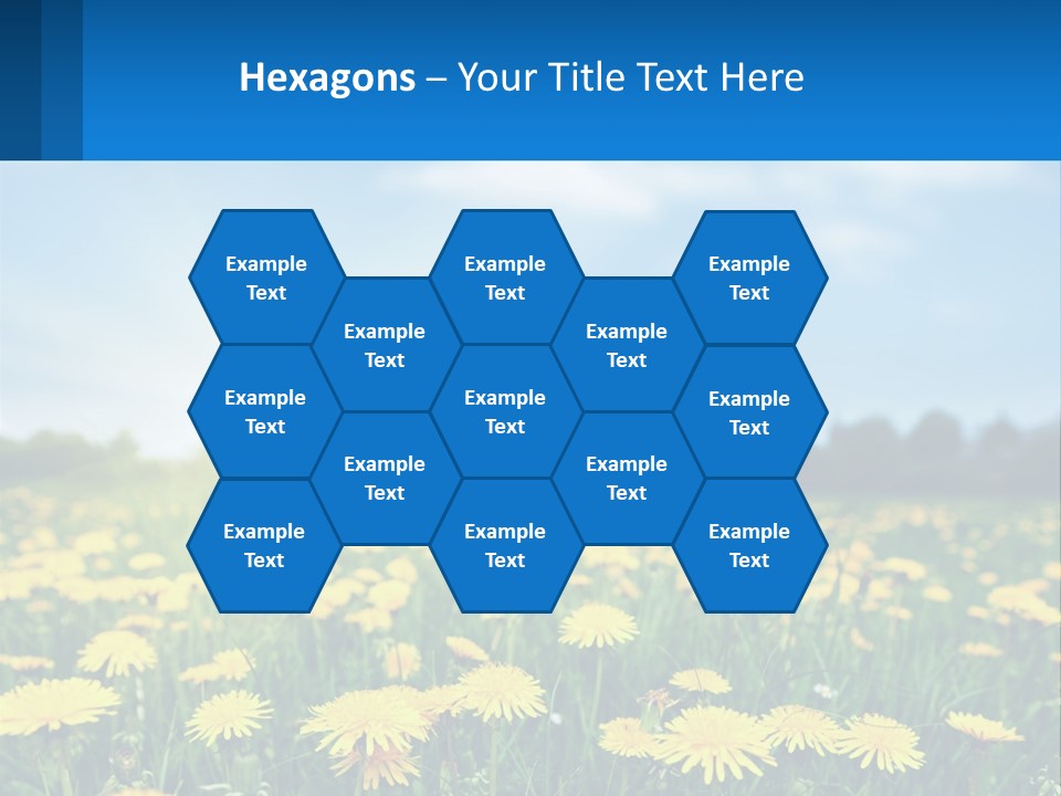 A Field Full Of Yellow Dandelions Under A Blue Sky PowerPoint Template