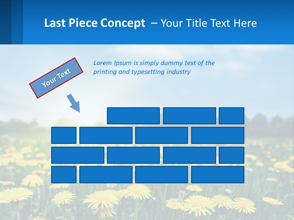 A Field Full Of Yellow Dandelions Under A Blue Sky PowerPoint Template
