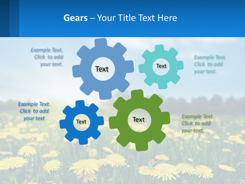 A Field Full Of Yellow Dandelions Under A Blue Sky PowerPoint Template