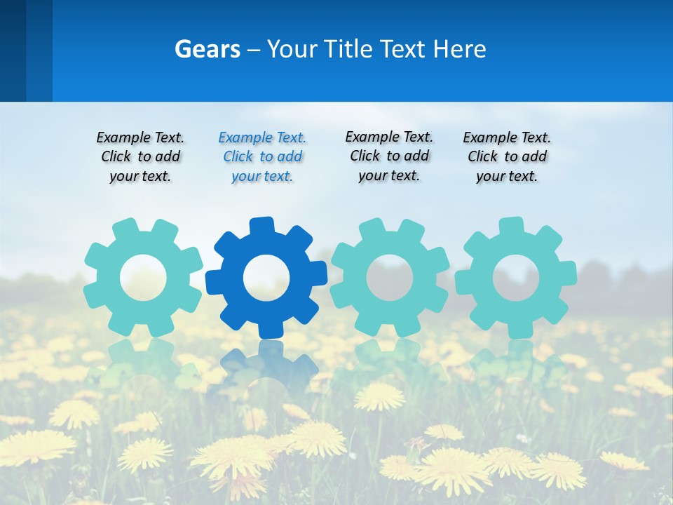 A Field Full Of Yellow Dandelions Under A Blue Sky PowerPoint Template