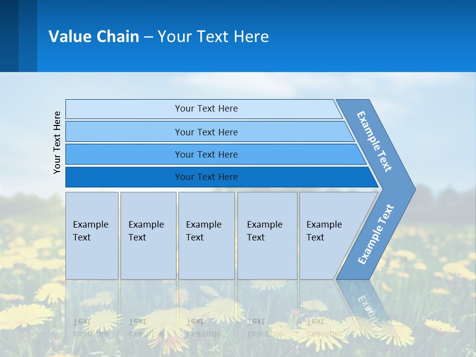A Field Full Of Yellow Dandelions Under A Blue Sky PowerPoint Template