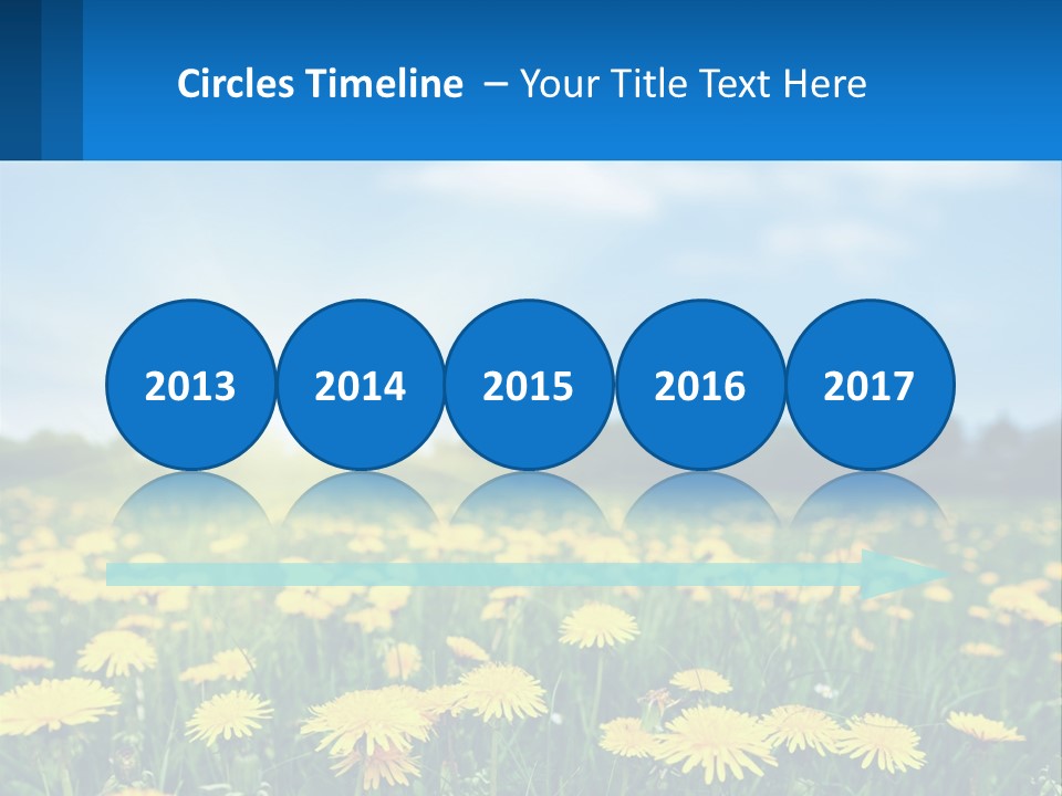 A Field Full Of Yellow Dandelions Under A Blue Sky PowerPoint Template