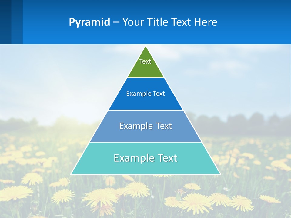 A Field Full Of Yellow Dandelions Under A Blue Sky PowerPoint Template