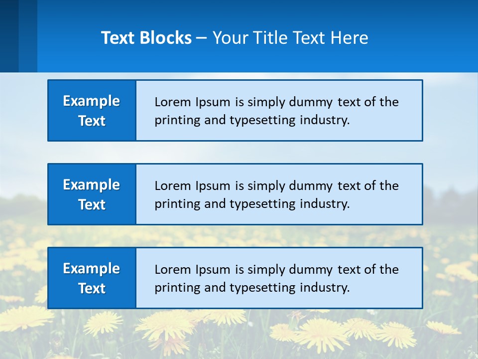 A Field Full Of Yellow Dandelions Under A Blue Sky PowerPoint Template
