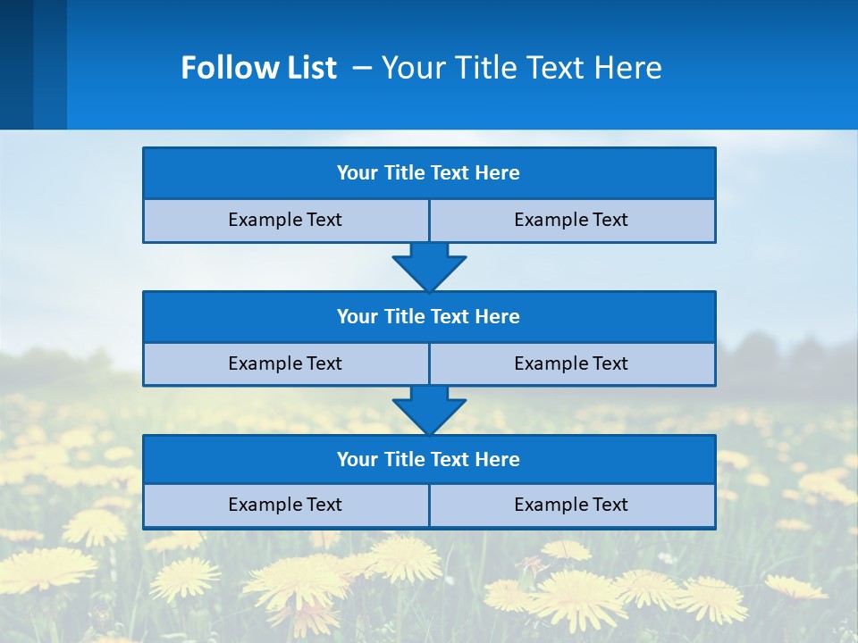 A Field Full Of Yellow Dandelions Under A Blue Sky PowerPoint Template