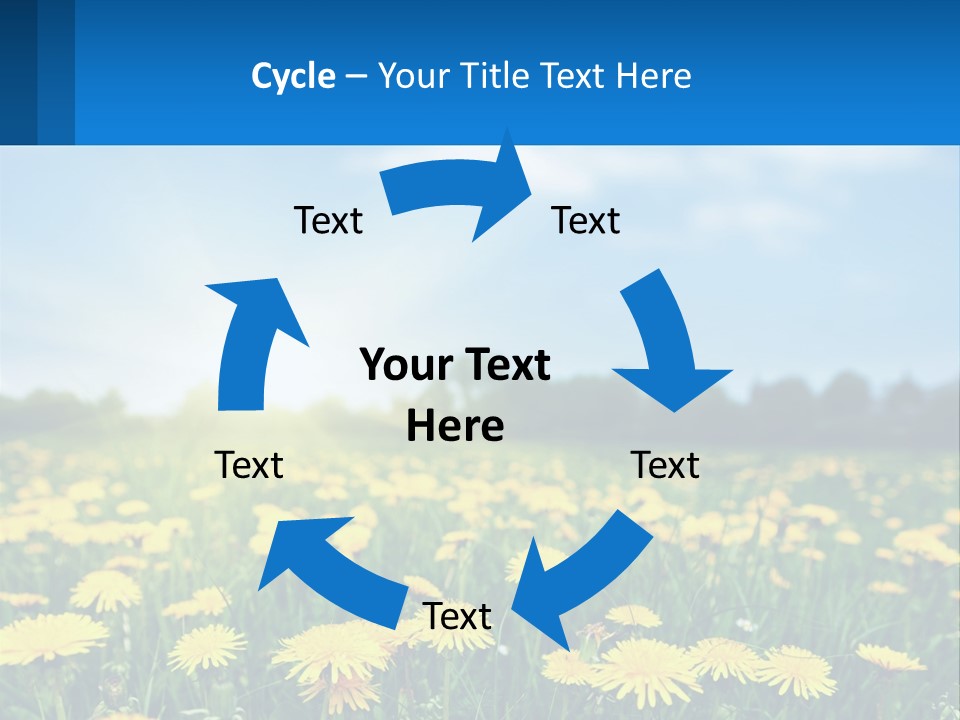 A Field Full Of Yellow Dandelions Under A Blue Sky PowerPoint Template