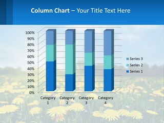 A Field Full Of Yellow Dandelions Under A Blue Sky PowerPoint Template