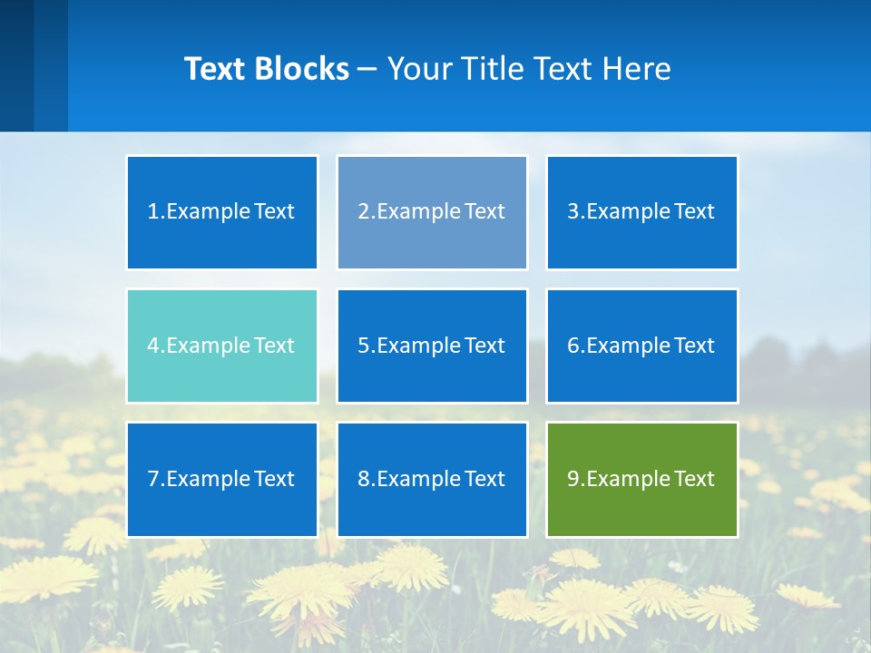 A Field Full Of Yellow Dandelions Under A Blue Sky PowerPoint Template
