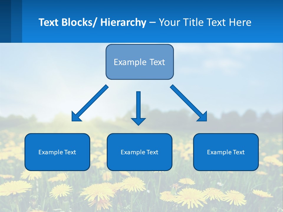 A Field Full Of Yellow Dandelions Under A Blue Sky PowerPoint Template