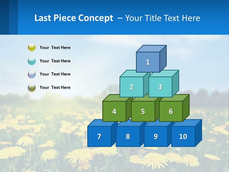 A Field Full Of Yellow Dandelions Under A Blue Sky PowerPoint Template