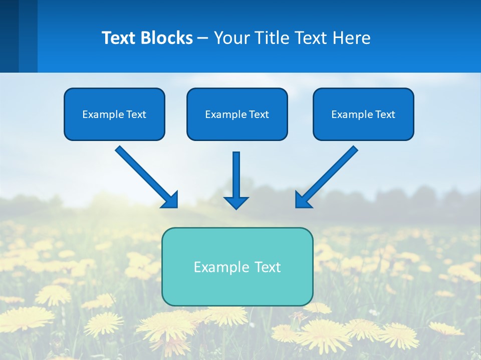A Field Full Of Yellow Dandelions Under A Blue Sky PowerPoint Template