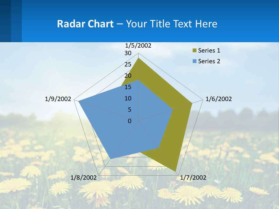 A Field Full Of Yellow Dandelions Under A Blue Sky PowerPoint Template