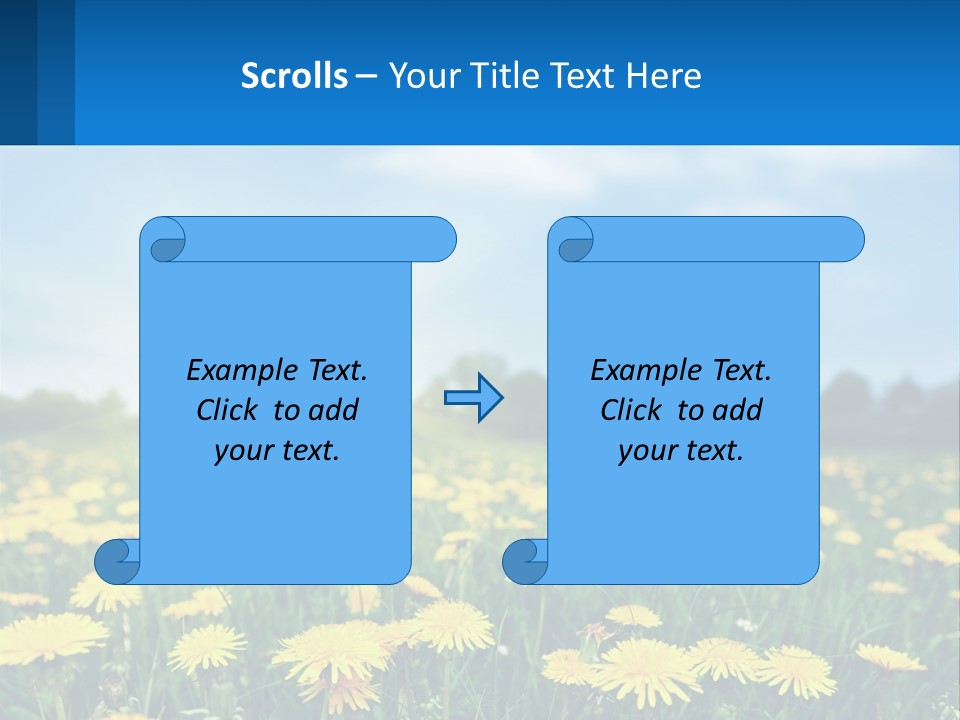 A Field Full Of Yellow Dandelions Under A Blue Sky PowerPoint Template
