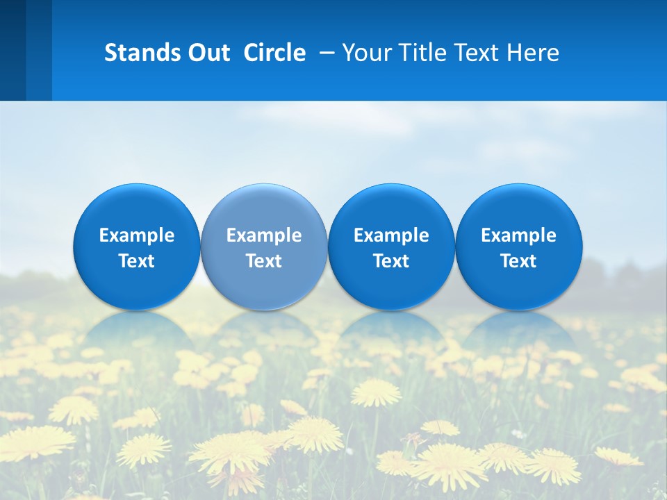A Field Full Of Yellow Dandelions Under A Blue Sky PowerPoint Template