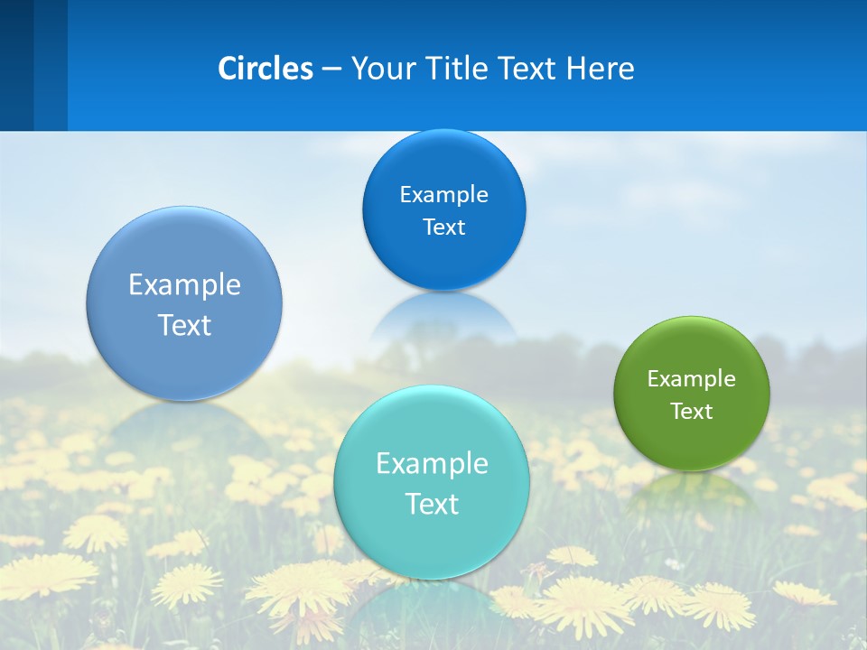 A Field Full Of Yellow Dandelions Under A Blue Sky PowerPoint Template