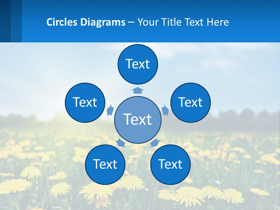 A Field Full Of Yellow Dandelions Under A Blue Sky PowerPoint Template
