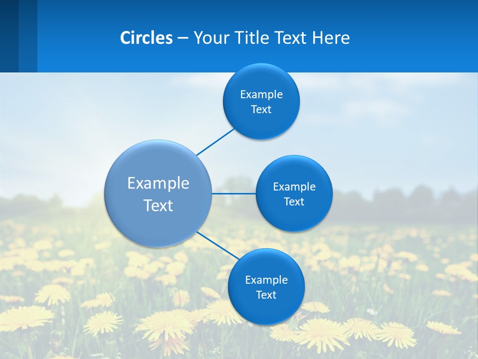 A Field Full Of Yellow Dandelions Under A Blue Sky PowerPoint Template