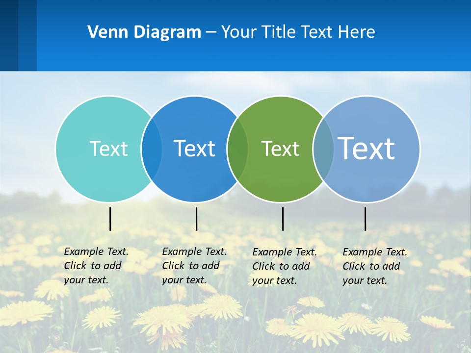 A Field Full Of Yellow Dandelions Under A Blue Sky PowerPoint Template