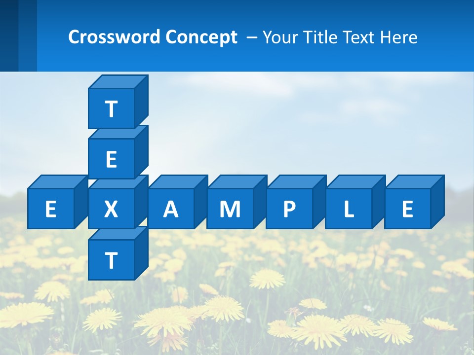 A Field Full Of Yellow Dandelions Under A Blue Sky PowerPoint Template