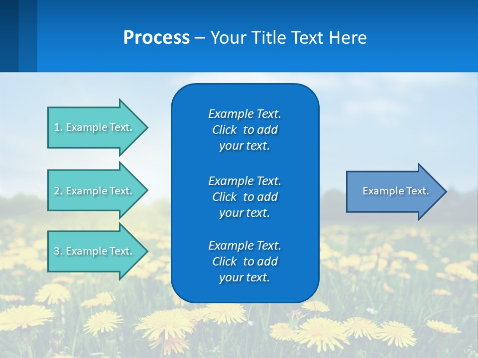 A Field Full Of Yellow Dandelions Under A Blue Sky PowerPoint Template