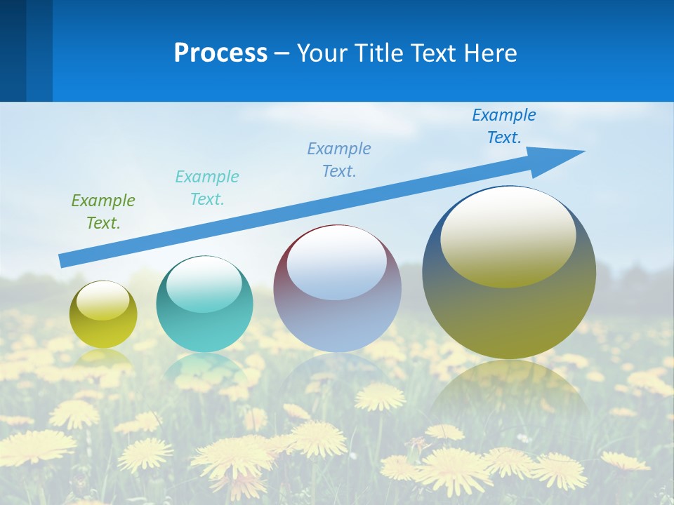 A Field Full Of Yellow Dandelions Under A Blue Sky PowerPoint Template