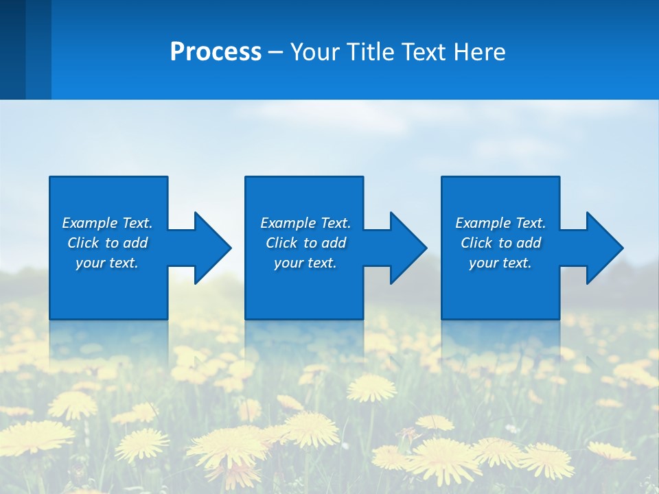 A Field Full Of Yellow Dandelions Under A Blue Sky PowerPoint Template
