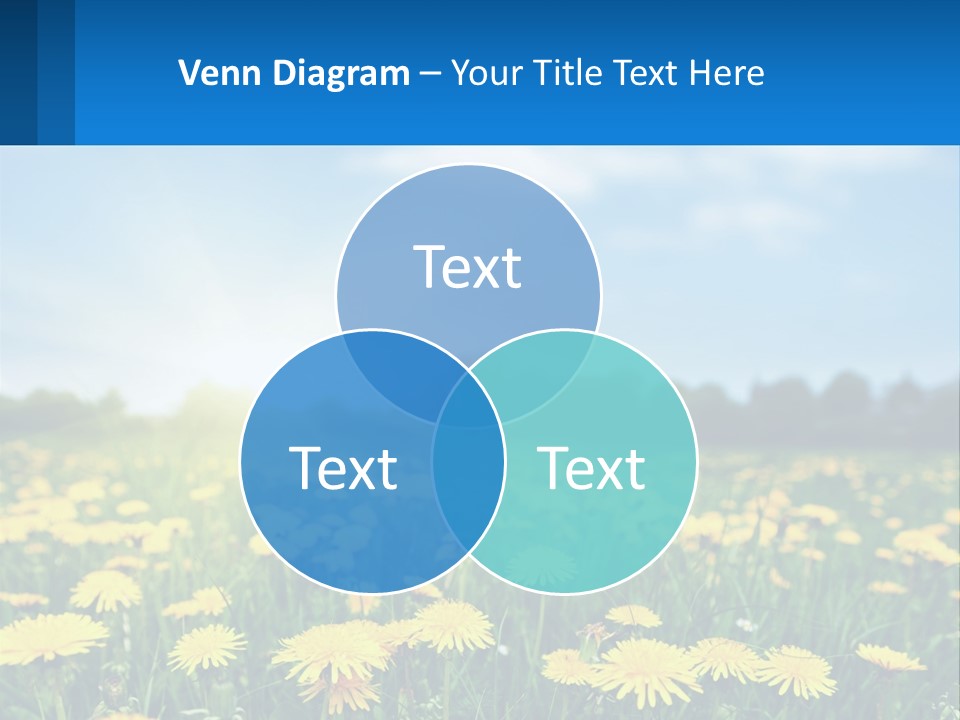 A Field Full Of Yellow Dandelions Under A Blue Sky PowerPoint Template