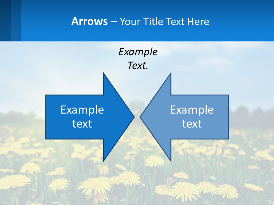 A Field Full Of Yellow Dandelions Under A Blue Sky PowerPoint Template