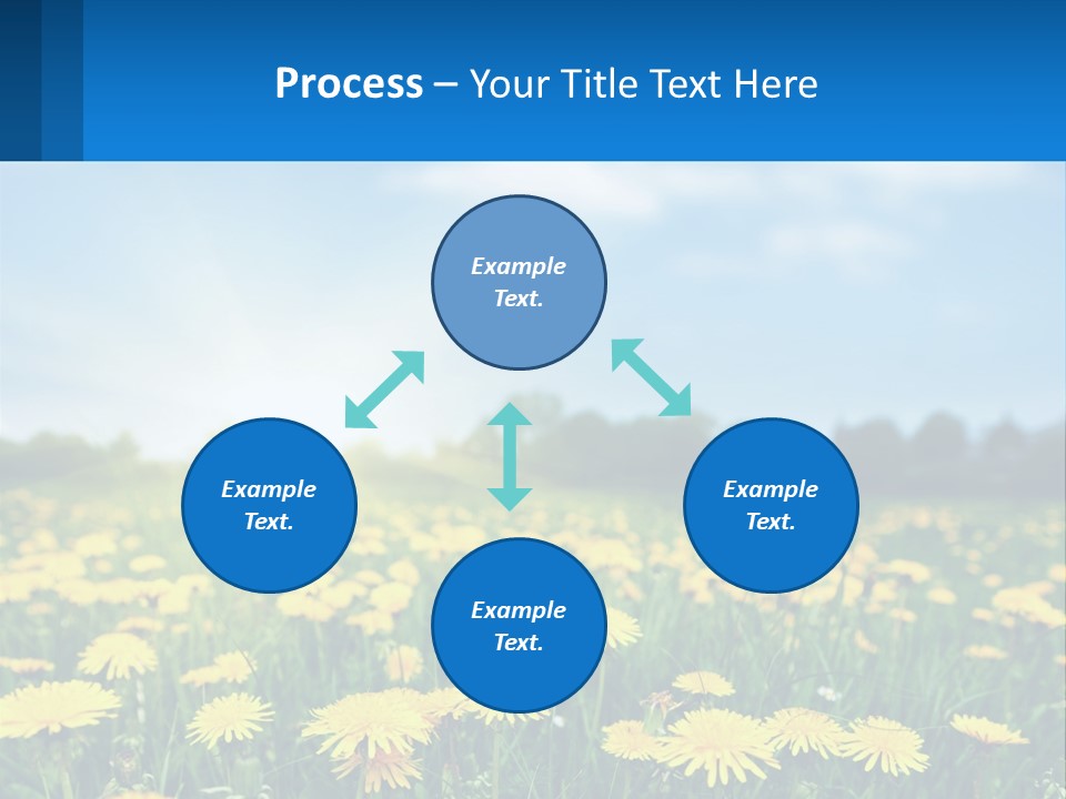 A Field Full Of Yellow Dandelions Under A Blue Sky PowerPoint Template